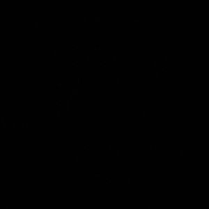 Meet your Posher, Meredith